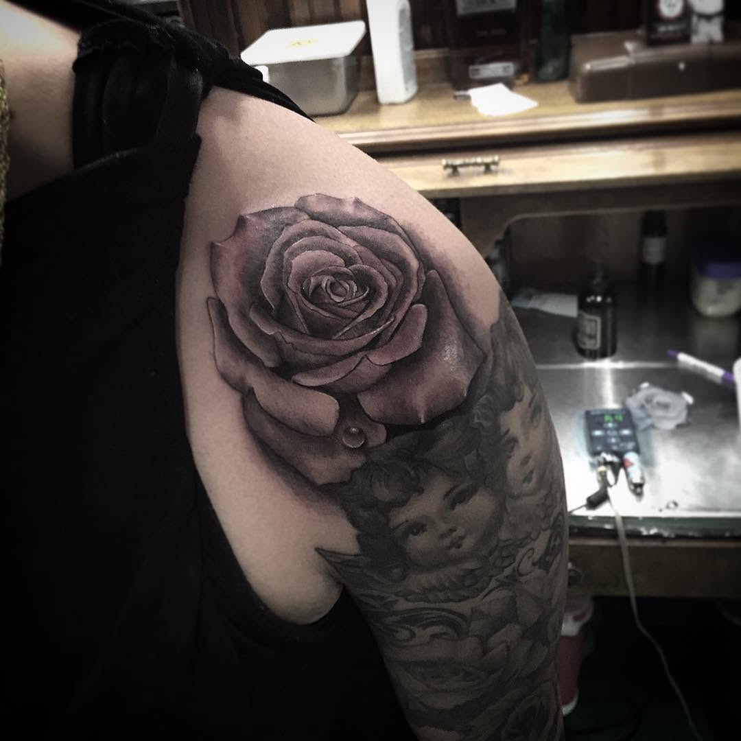 Flower, Rose, Nature
