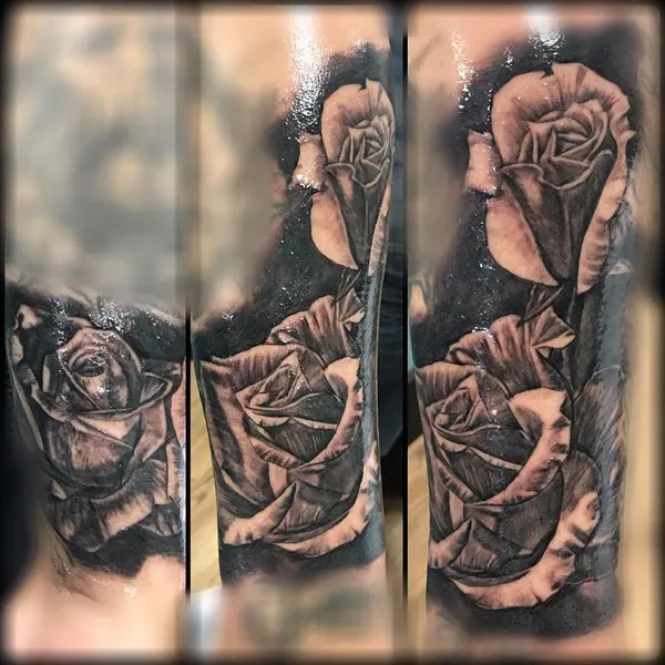 Flower, Rose