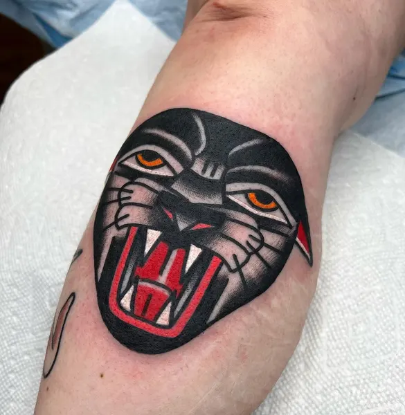 Animal, Tiger
