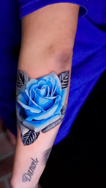 Rose, Flower