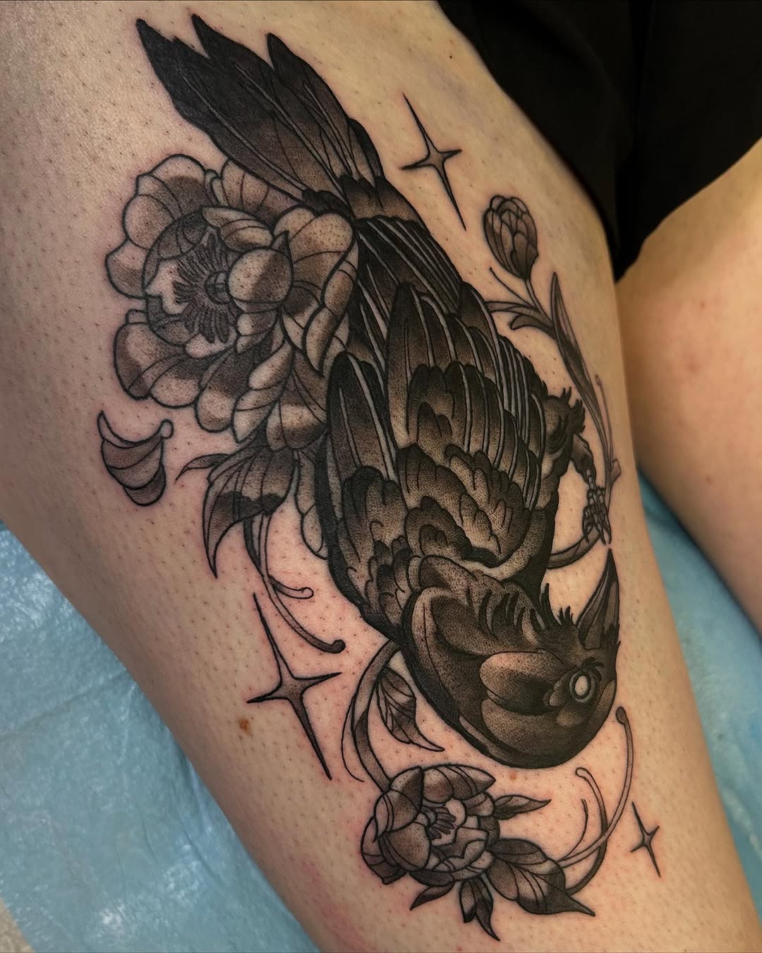 sarastigmata