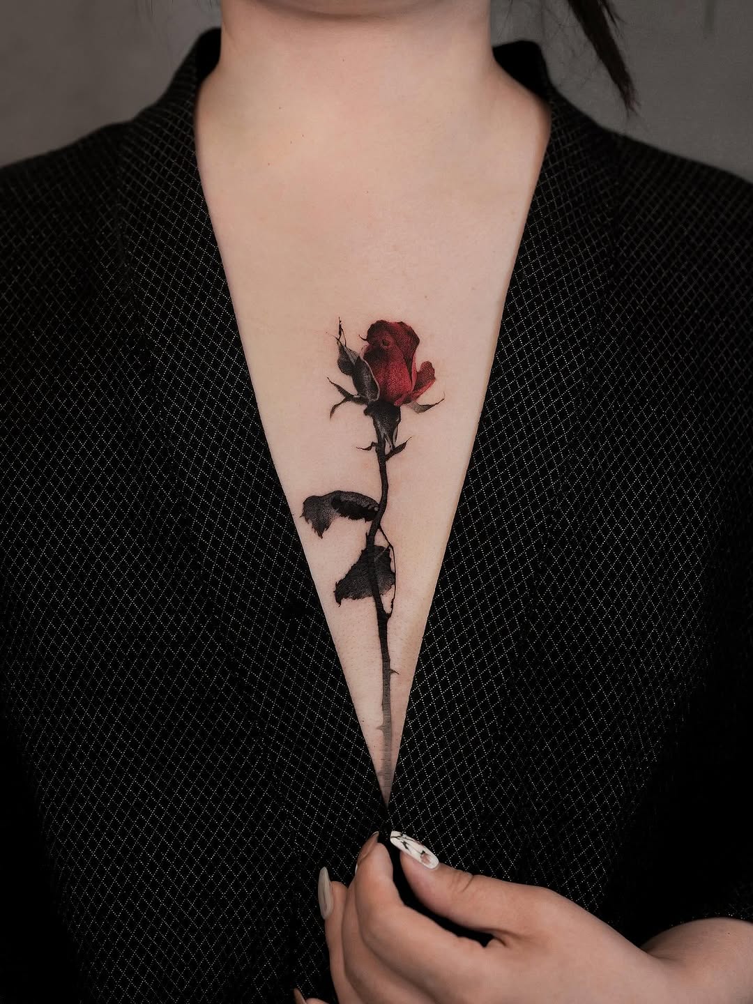 Flower, Rose, Nature