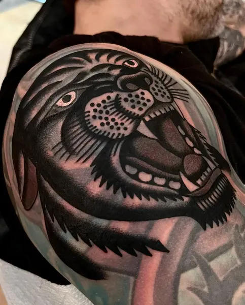 Tiger, Animal