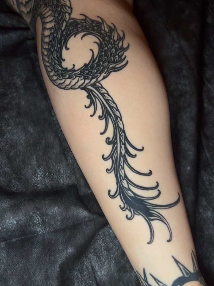 Dragon