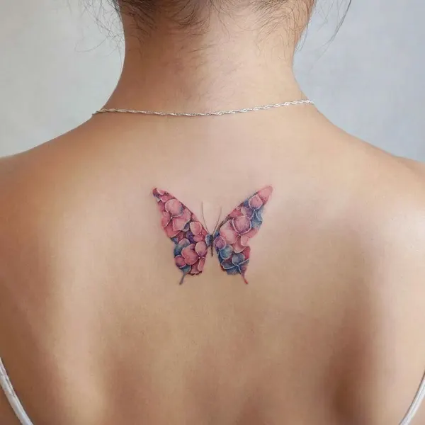 Animal, Nature, 나비