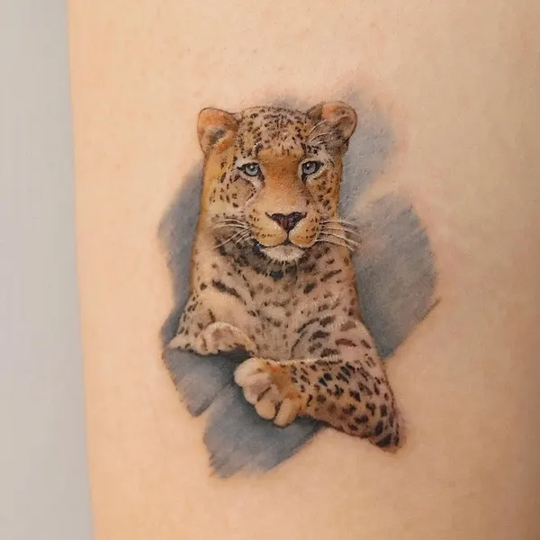 Animal, 표범, 재규어
