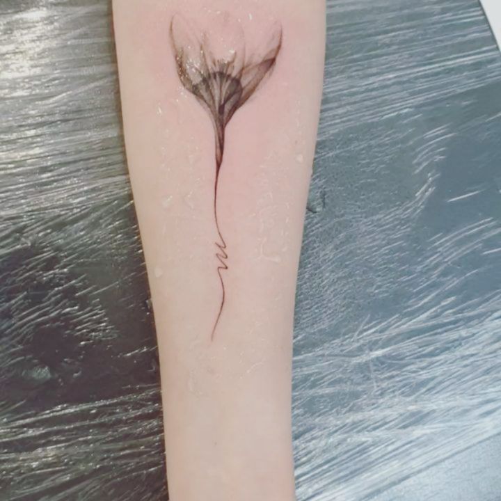 Flower, Rose, Lettering