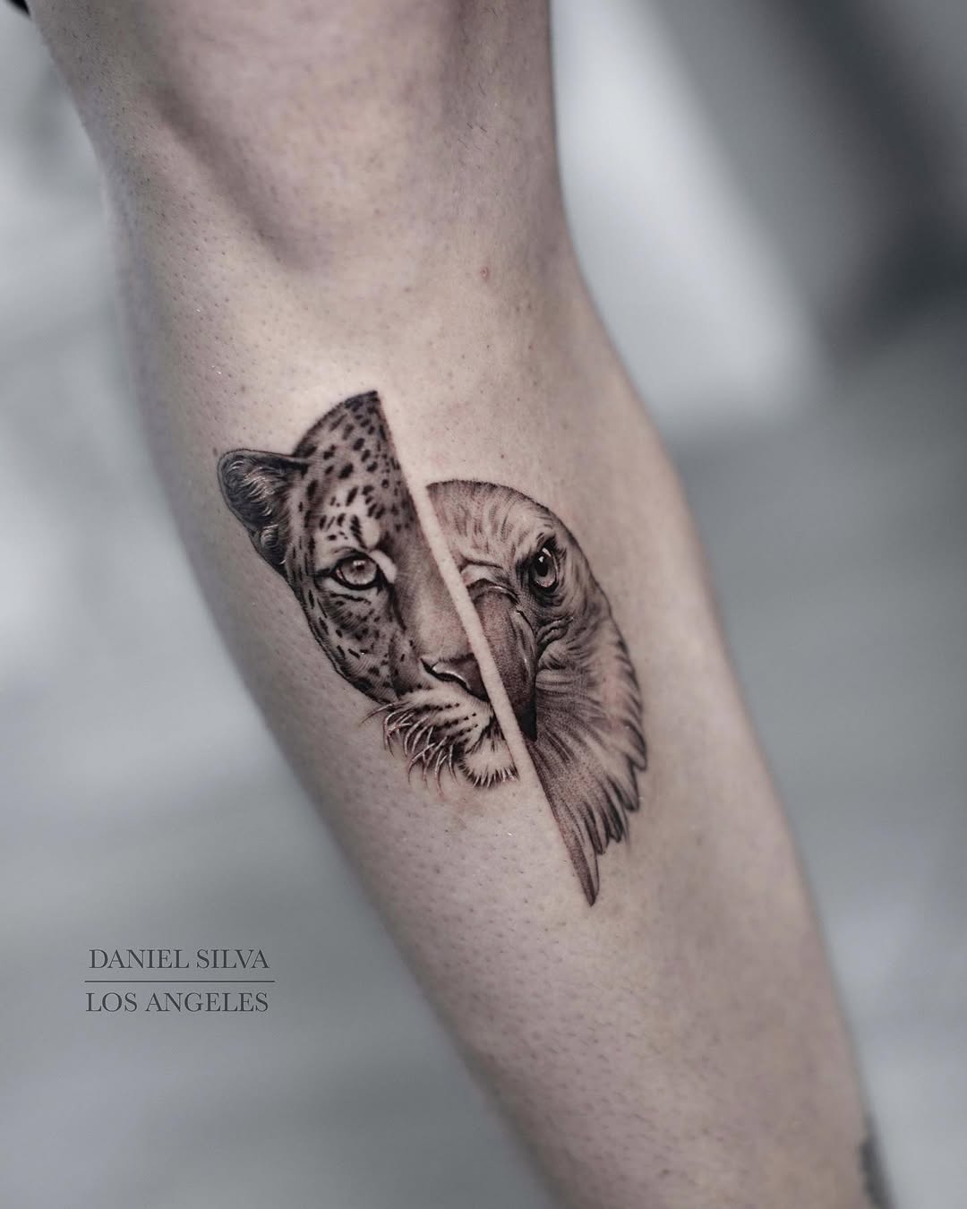 Tiger, Animal