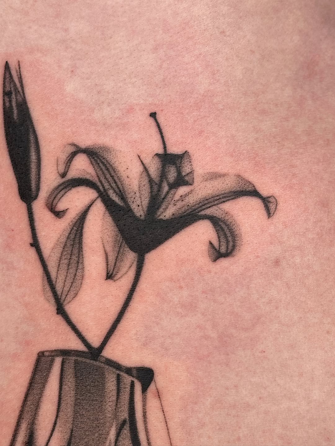 plantsnpokes