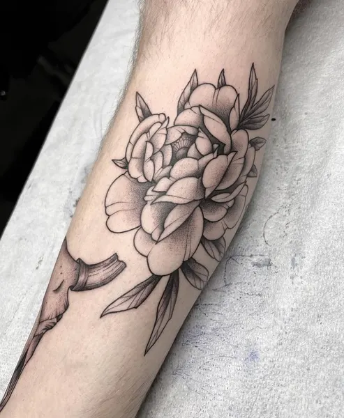 Flower, Rose