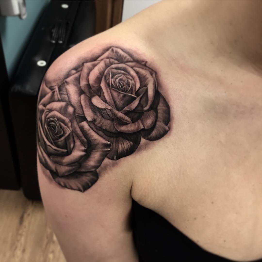 Flower, Rose, Nature