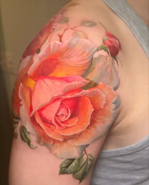 Flower, Nature, Rose