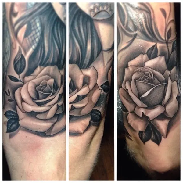 Flower, Rose