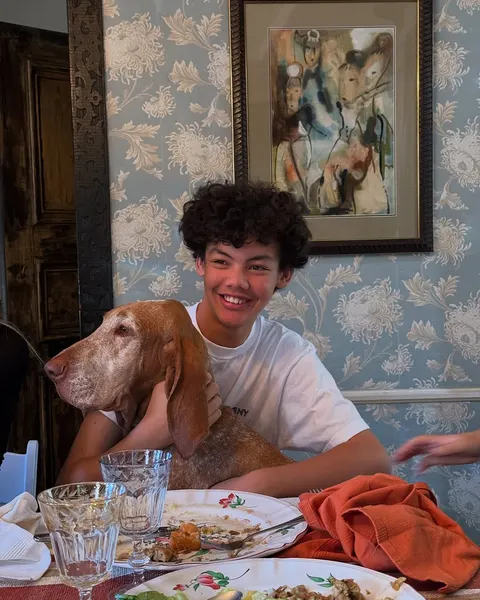 Animal