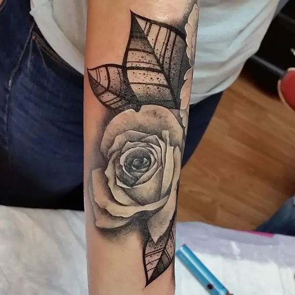 Flower, Rose