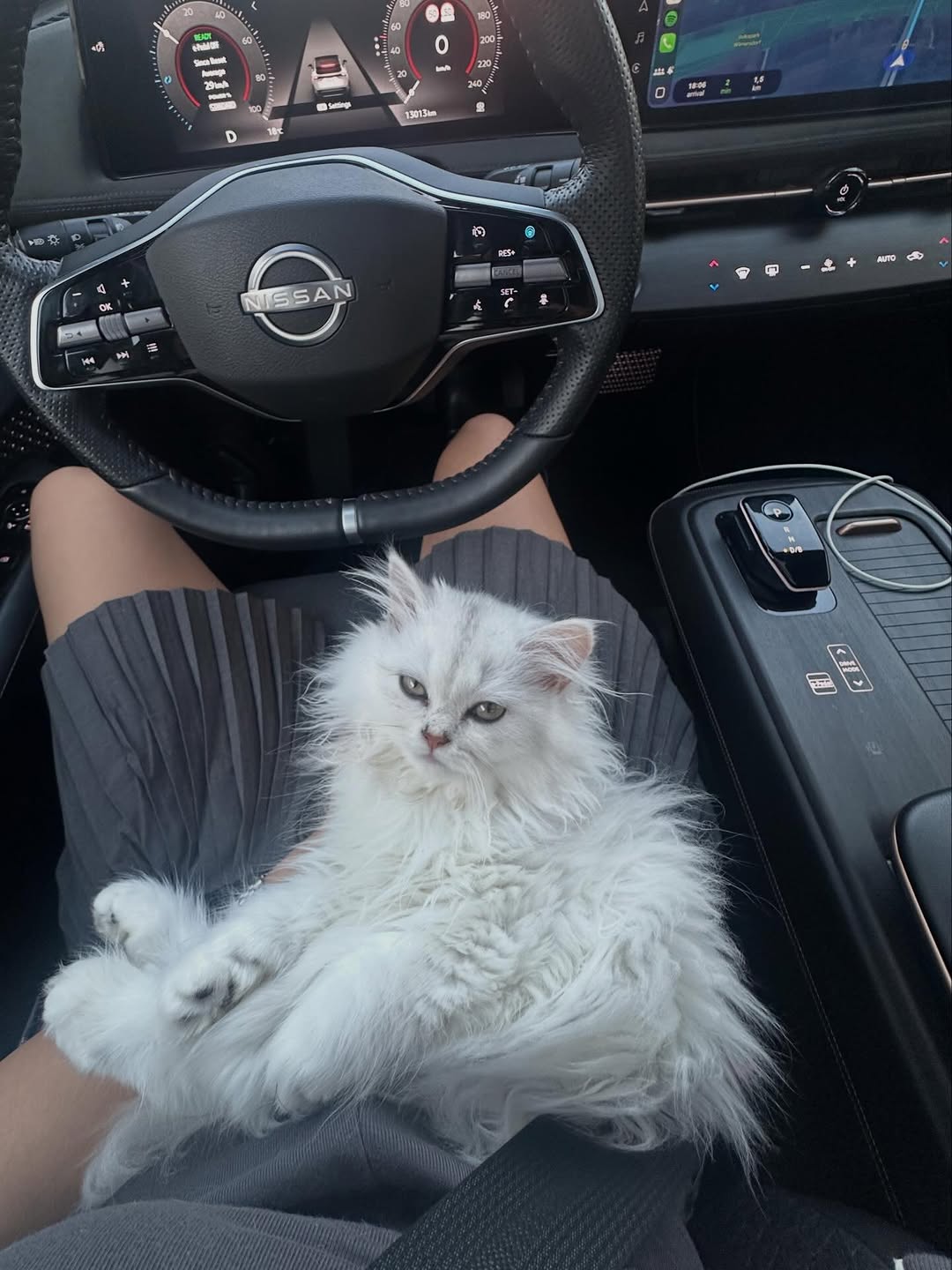 whoisoek