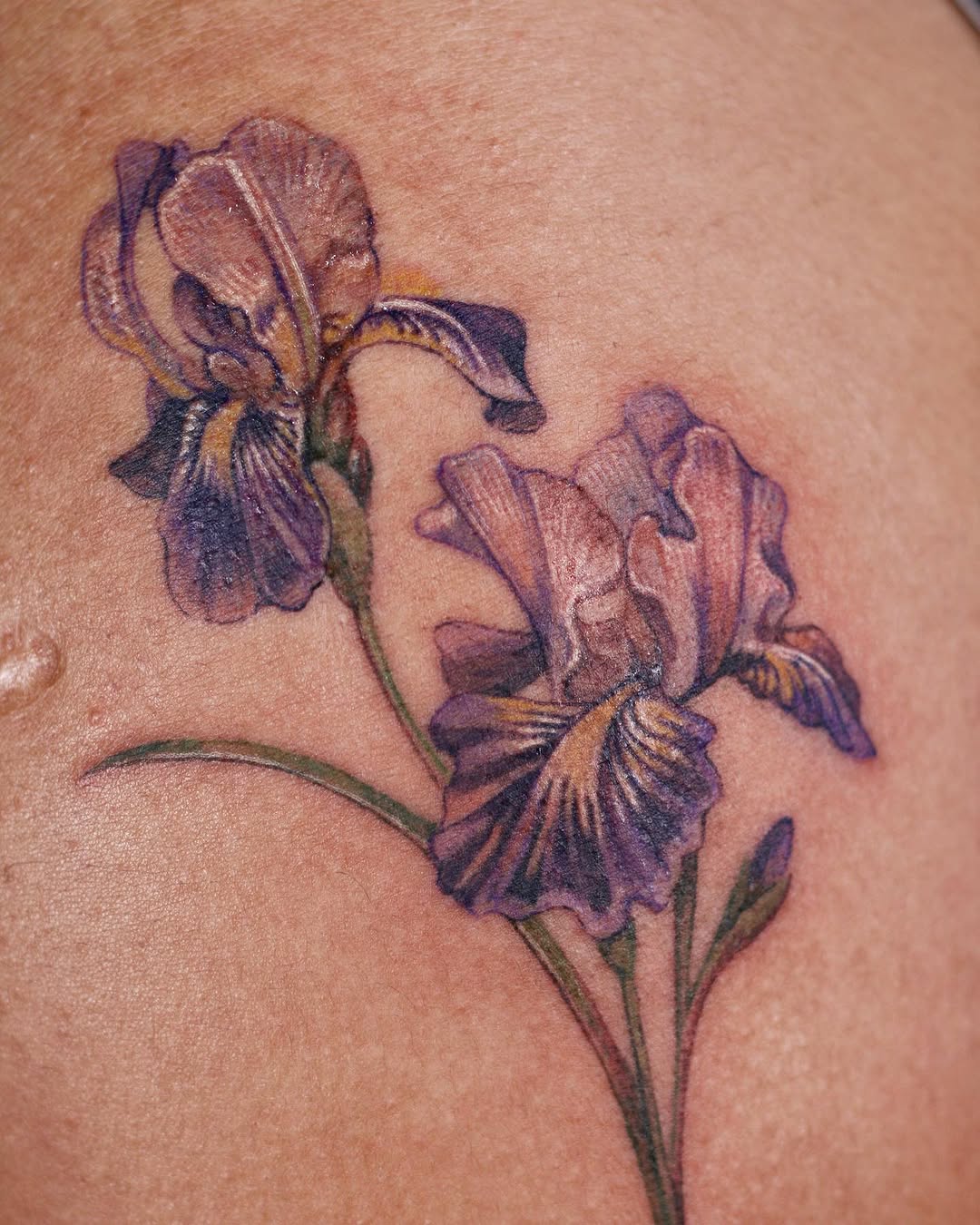 Flower, 아이리스, 백합, 난초, 튤립