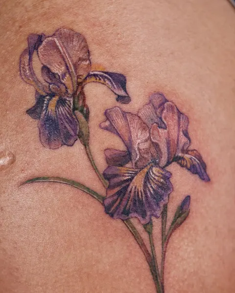 Flower, 아이리스, 백합, 난초, 튤립