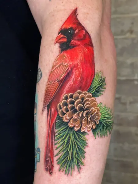 Flower, Animal, Nature