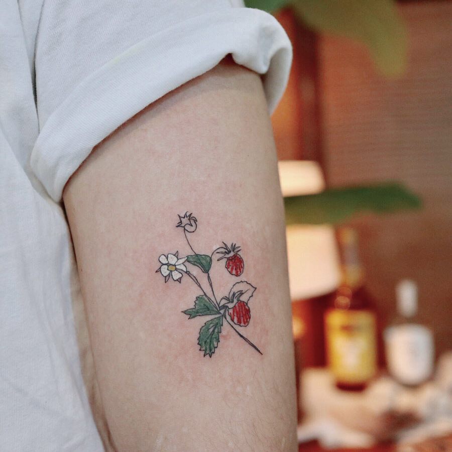 Flower, Rose