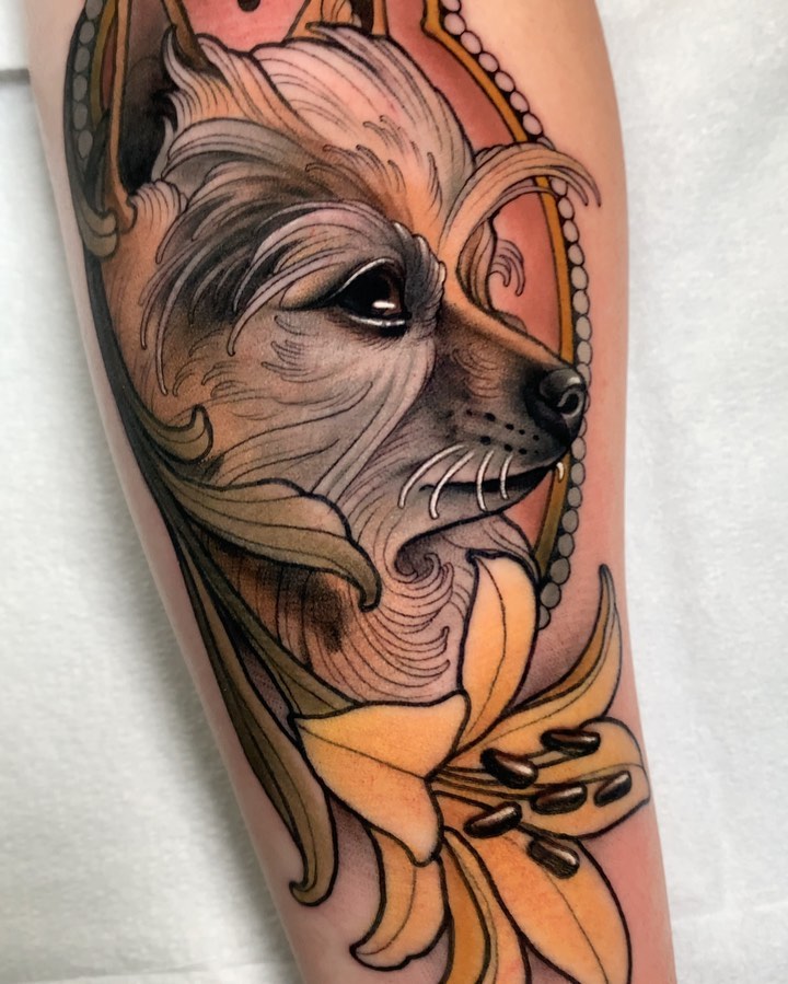 Animal