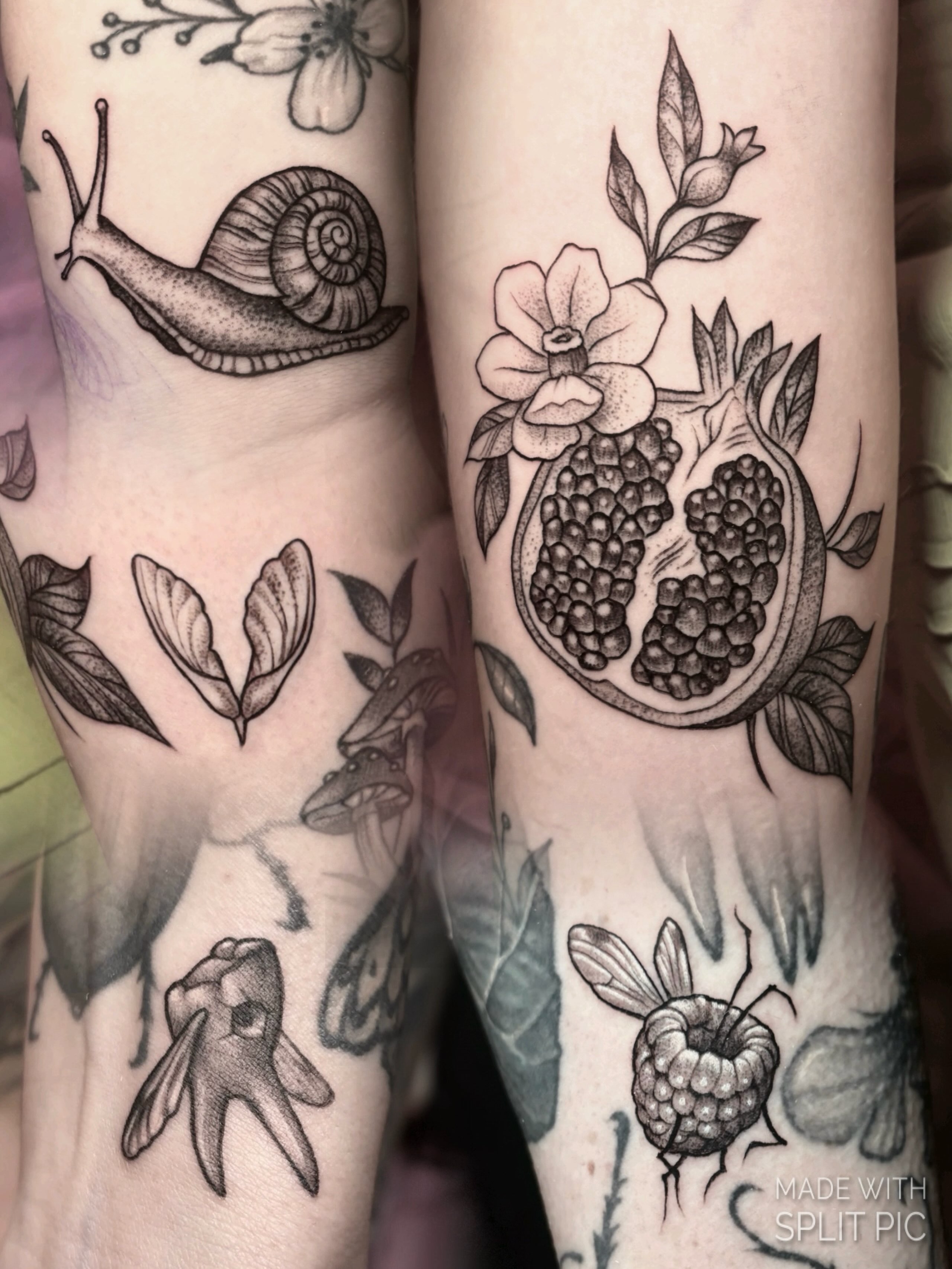Flower, Rose, 과일, 석류, 딸기