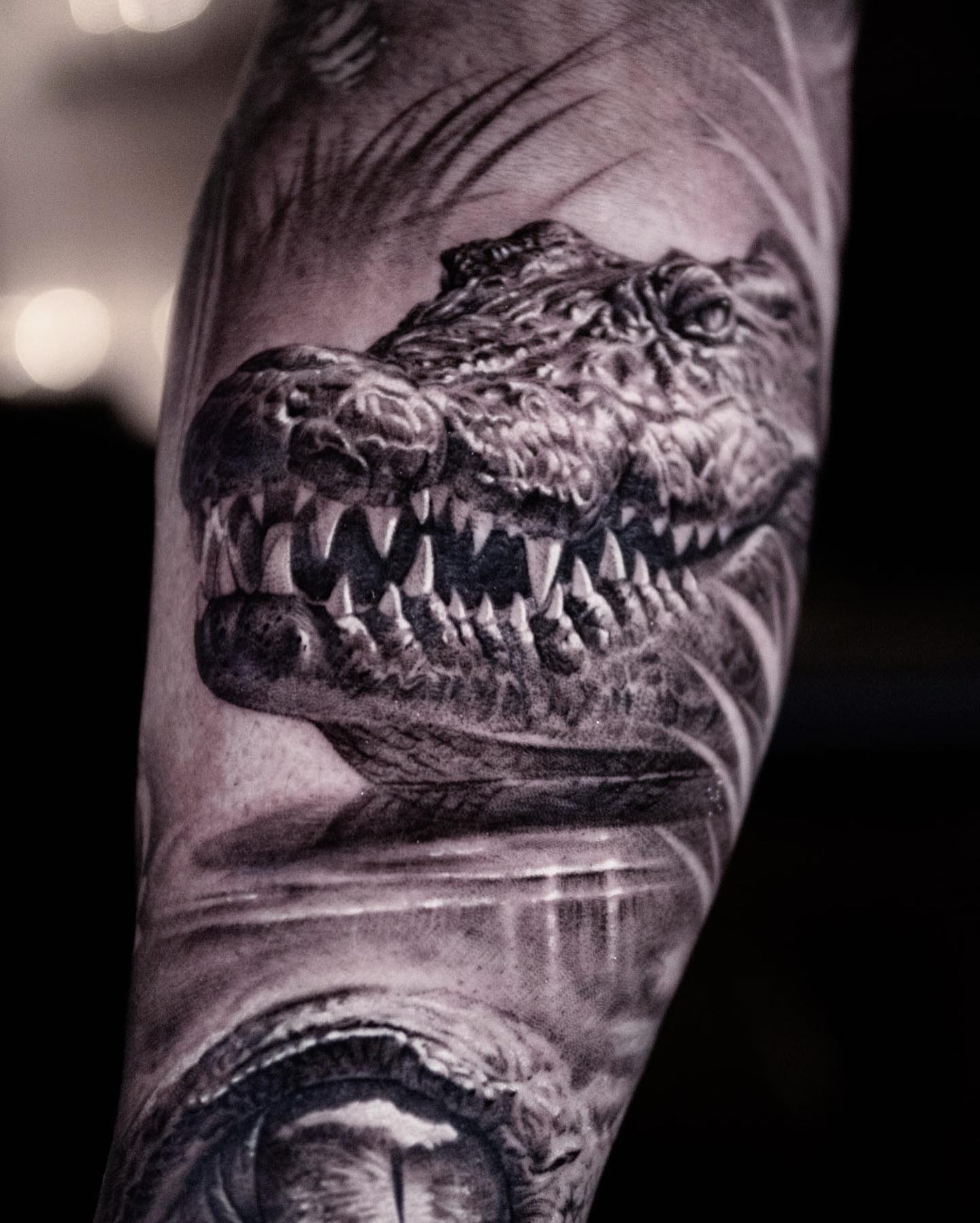 Dragon, 악어