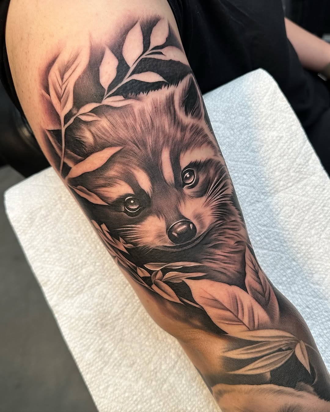 Animal