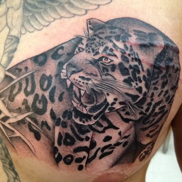 Animal