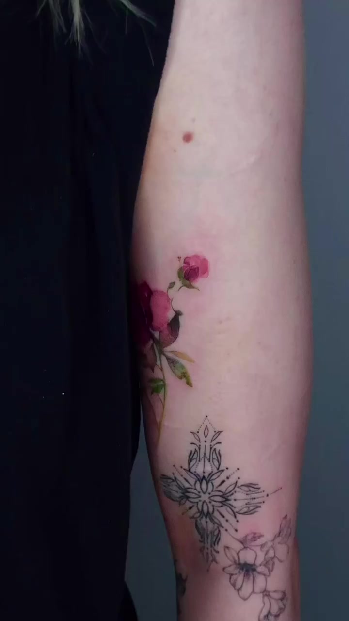 Flower, Rose