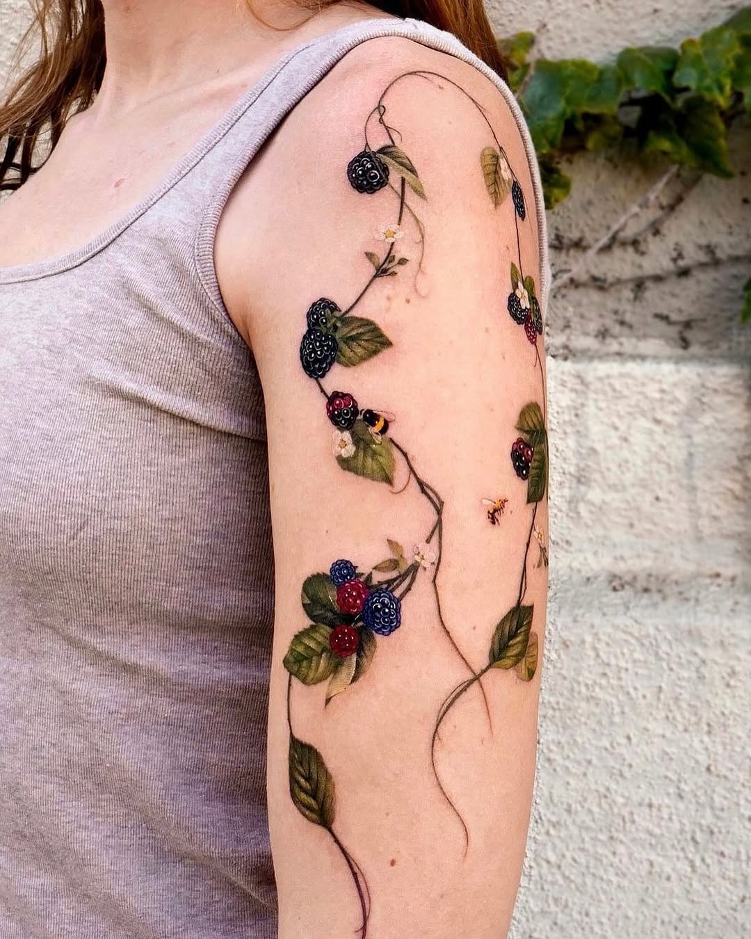 Flower, Rose, Nature
