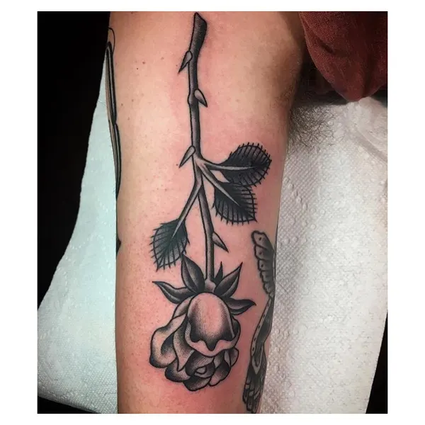 Flower, Rose
