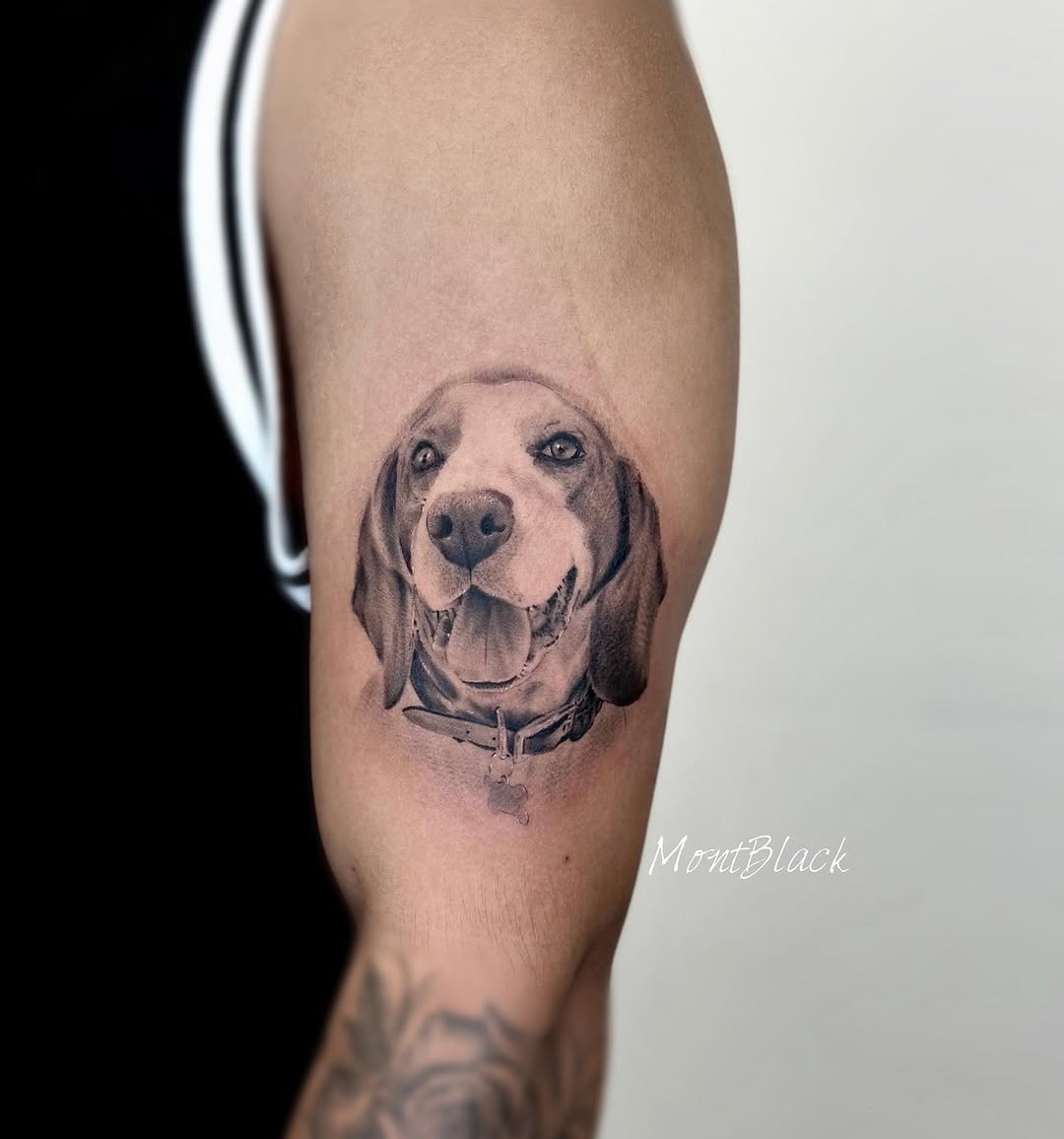 Animal