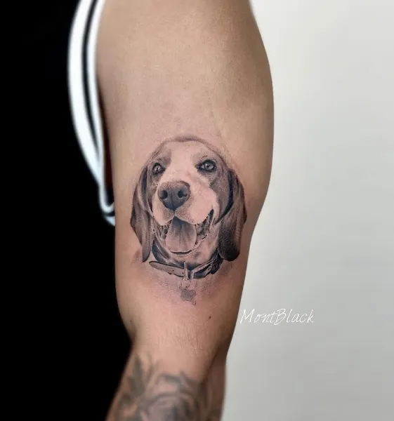 Animal