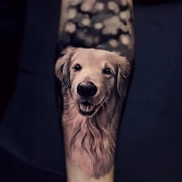 Animal, 강아지