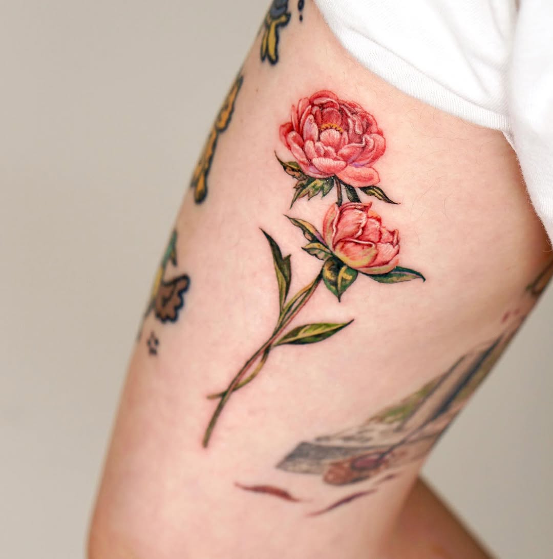 Flower, Rose