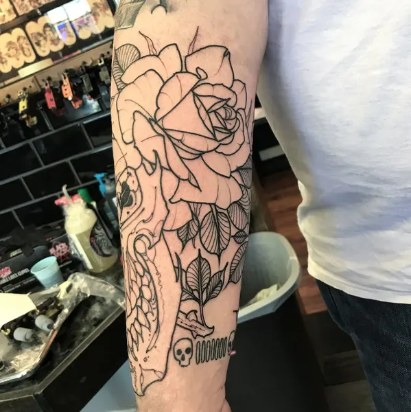 Flower, Rose