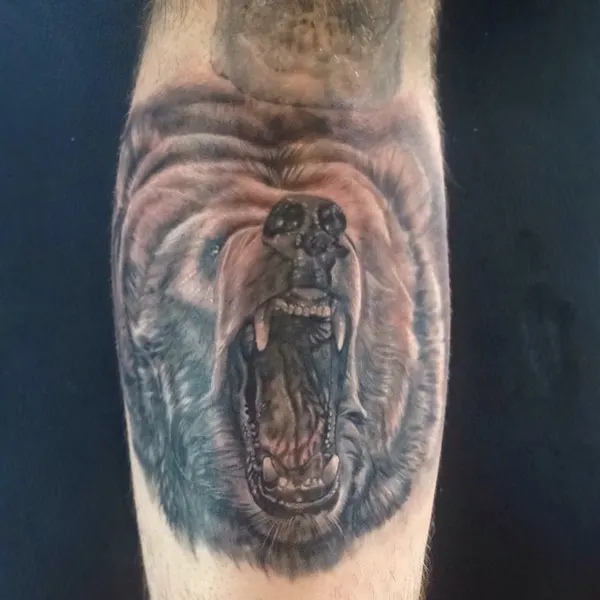Animal