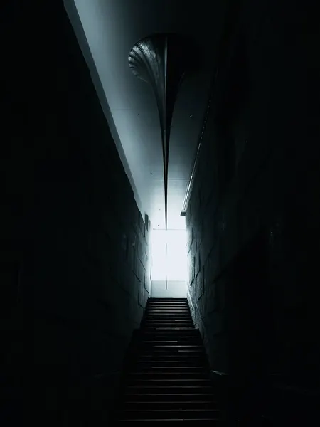 _dr_woo_