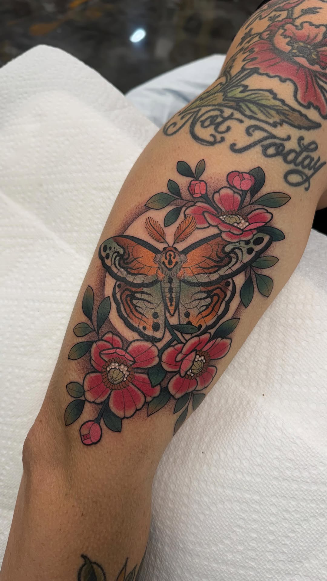 Animal, Nature