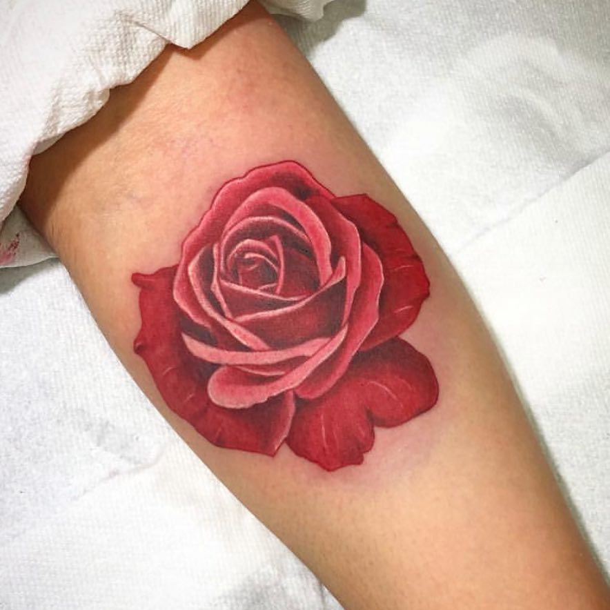 Flower, Rose
