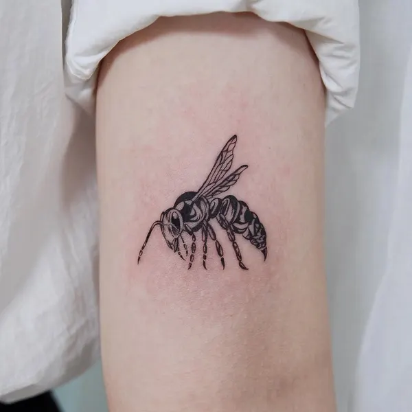 Animal