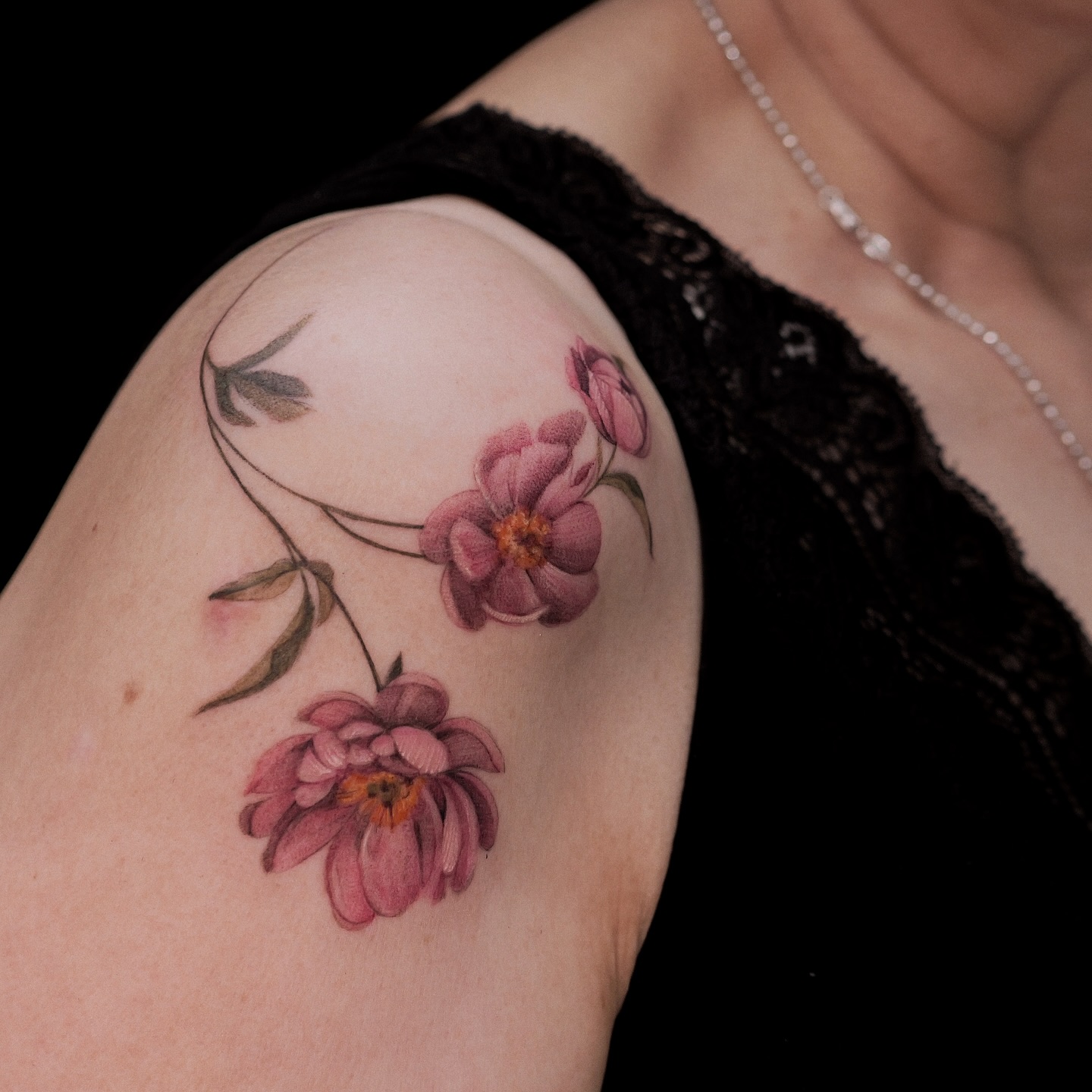 Flower, Rose, Nature