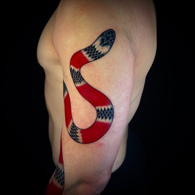Snake, Dragon
