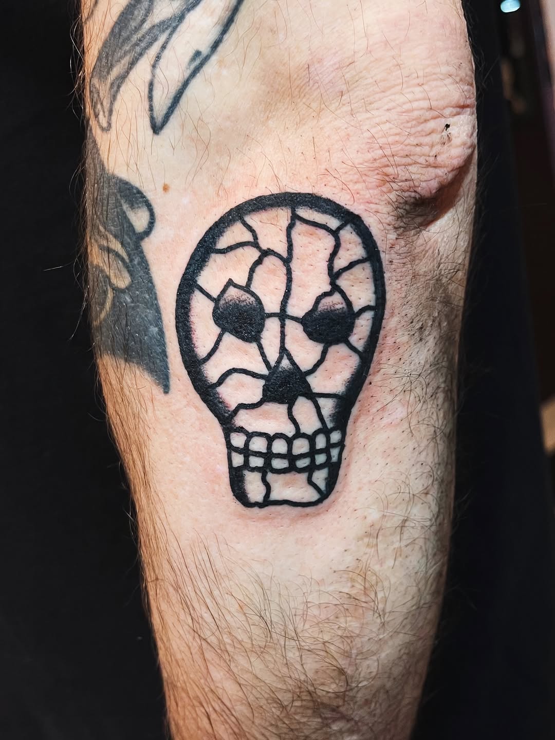 darius_cappelli