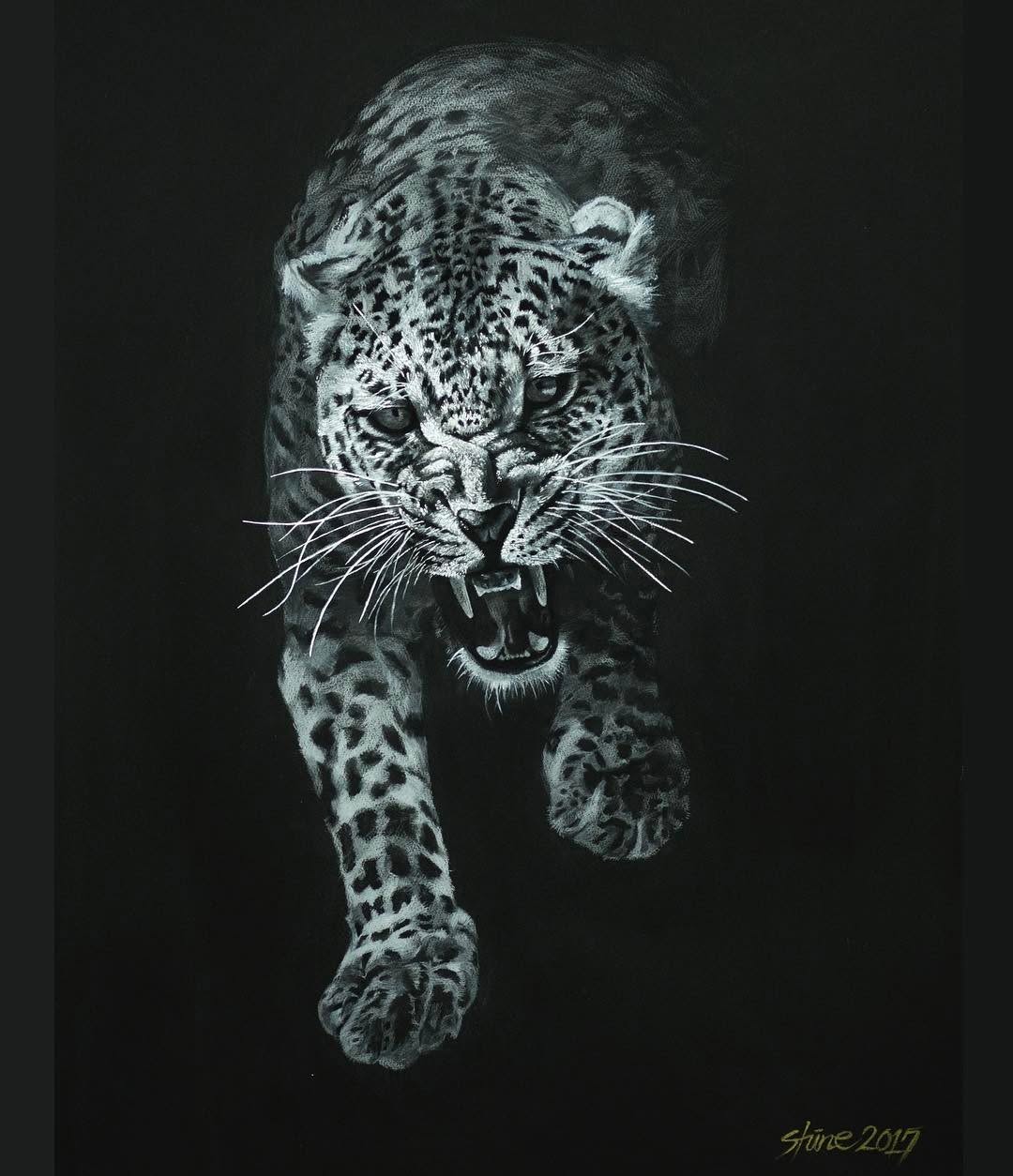 Animal, 표범, 재규어, 치타