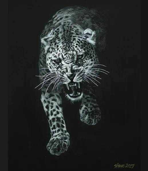 Animal, 표범, 재규어, 치타