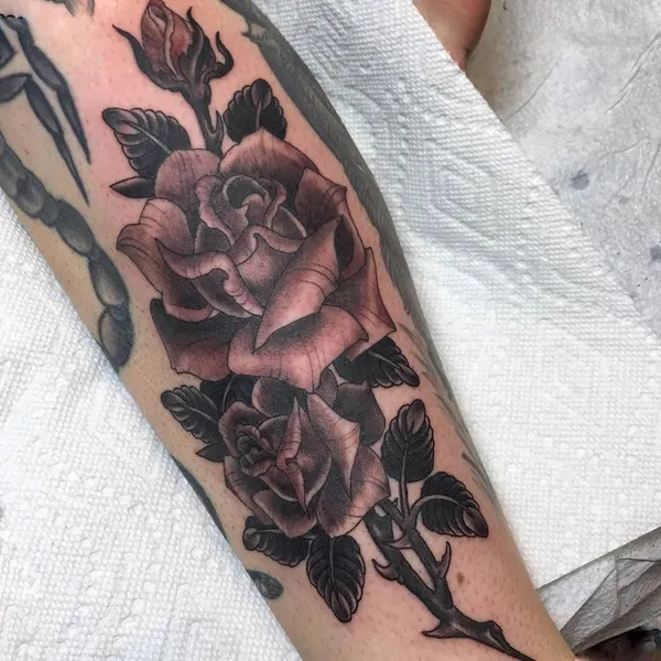 Flower, Rose