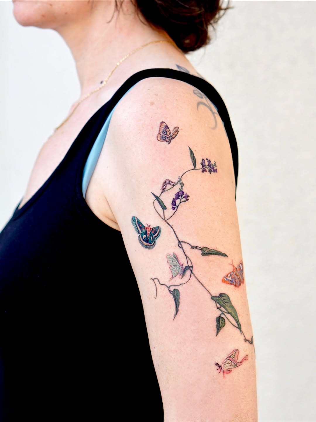 Flower, Animal, Rose, Nature