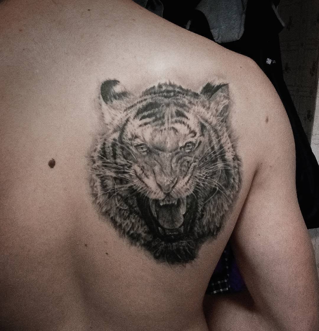 Tiger, 중국 호랑이, 한국 호랑이